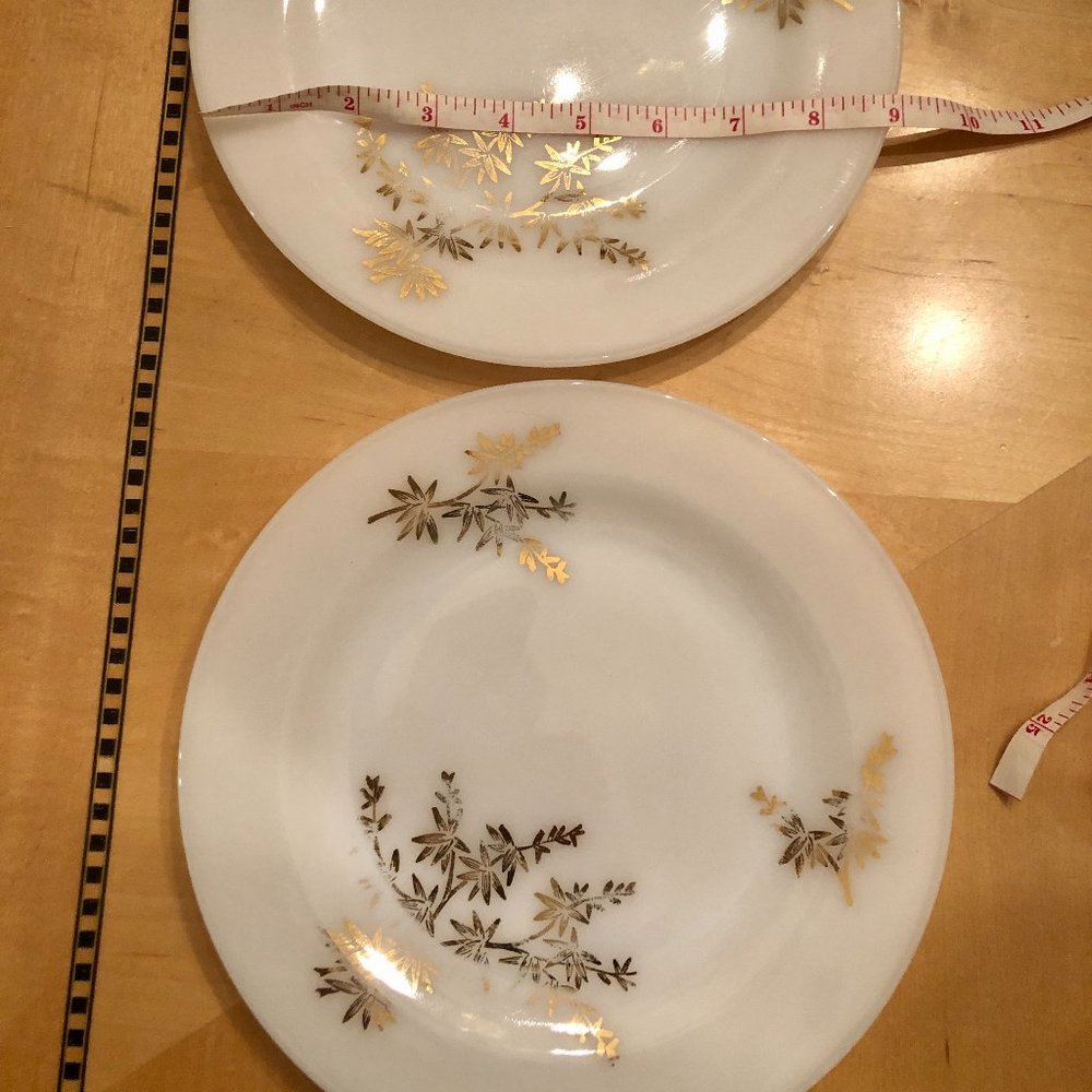 Federal Glass Plates with Golden Glory Bamboo ( 2 )